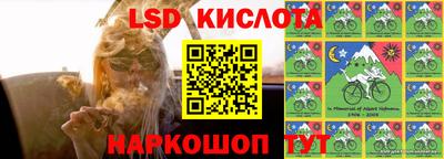 spice Кунгур