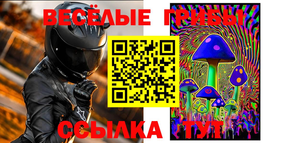 Железногорск  Псилоцибиновые грибы ЛСД  Вход с VPN 